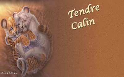 cartes tendres