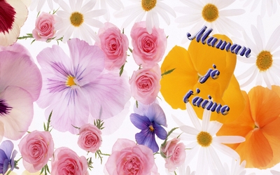 cartes tendres