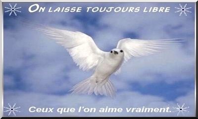 cartes tendres