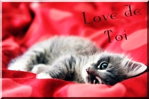 cartes  love