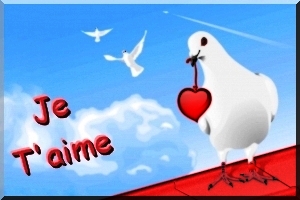 cartes  love