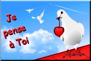 cartes  love