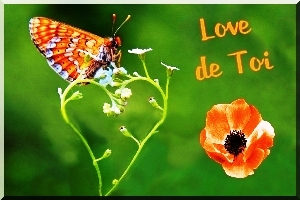 cartes  love
