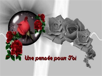 cartes photo noir blanc