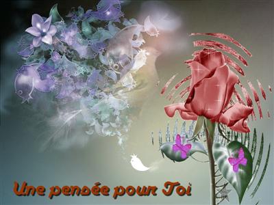 cartes photo noir blanc