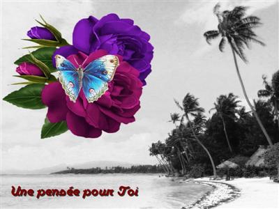 cartes photo noir blanc
