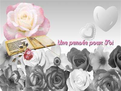 cartes photo noir blanc