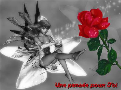 cartes photo noir blanc