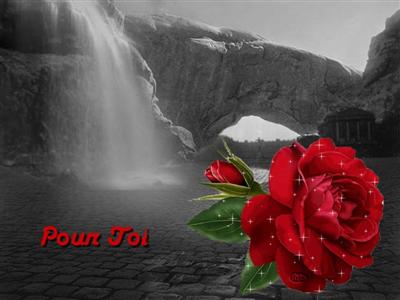 cartes photo noir blanc