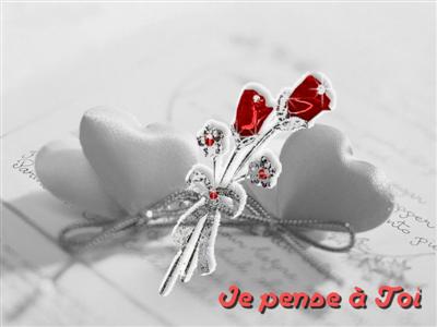 cartes photo noir blanc