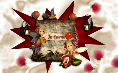 cartes tendres