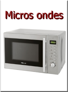 Four Micro Ondes